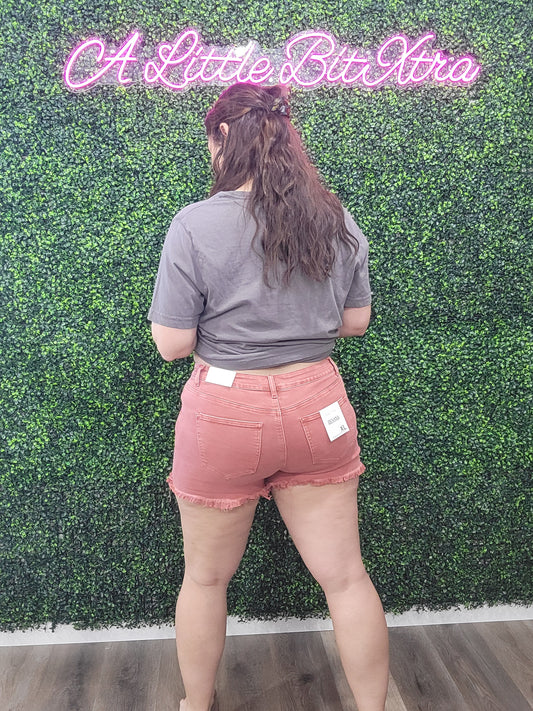 Z ACID WASH CABERNET FRAYED DENIM SHORTS