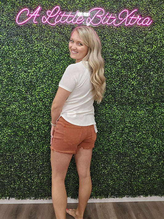 Z Rust Acid Wash Frayed Cutoff Hem Shorts