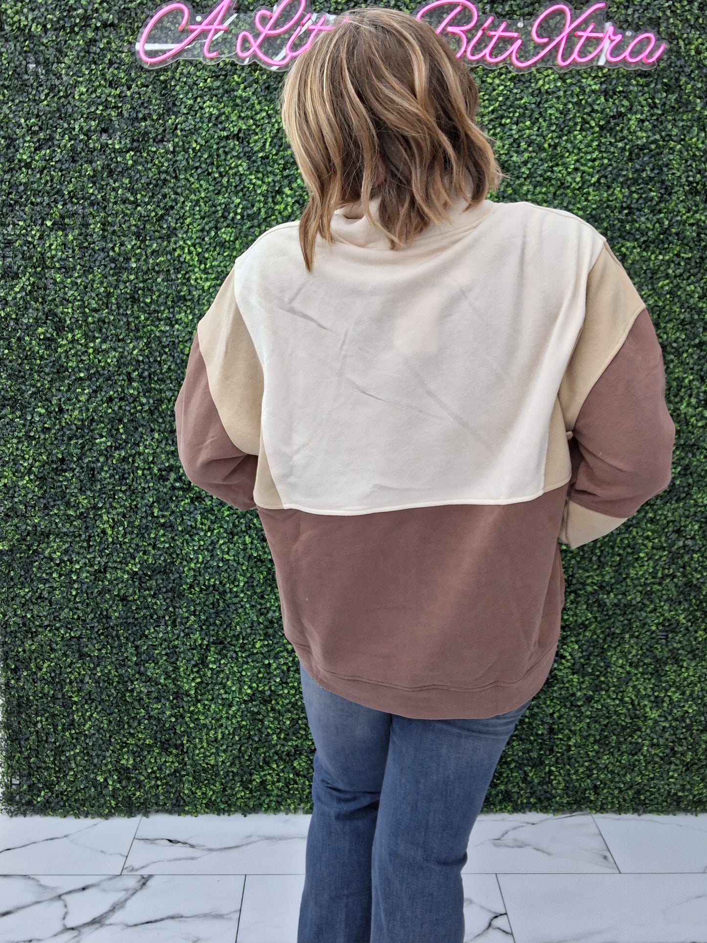 Brown Color Block Button Sweatshirt