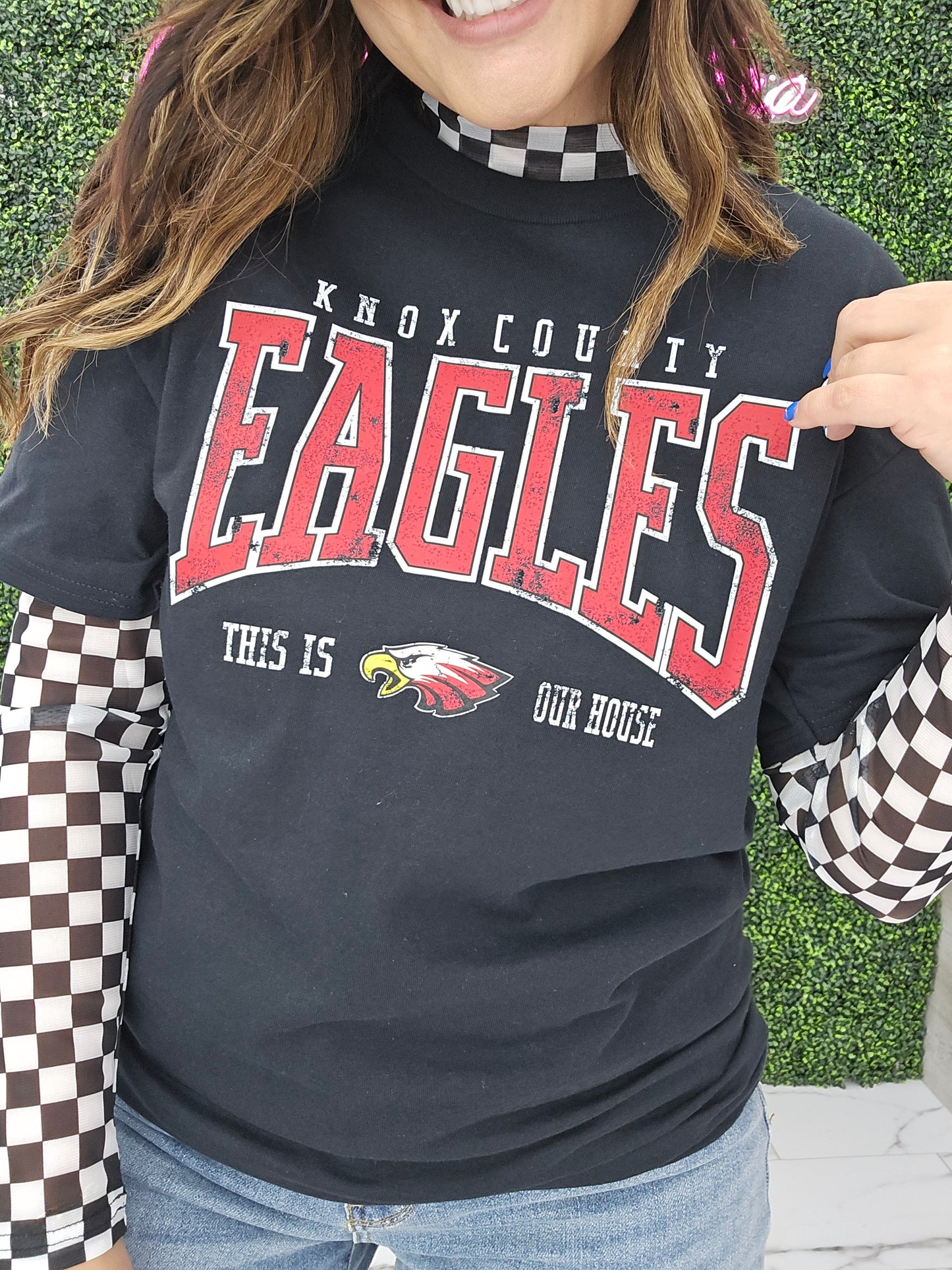 Eagles House