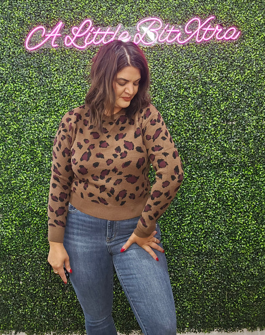 Long Sleeve Animal Print Sweater