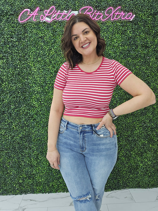 Crew Neck Stripe Seamless Rib Tee Magenta
