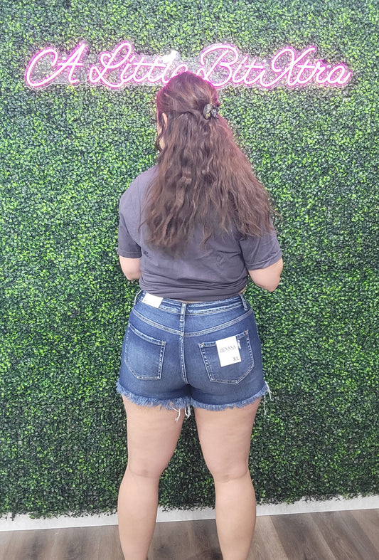 Z DARK FRAYED HEM DENIM SHORTS